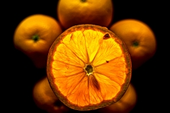Die leuchtende Orange (c) Gerd Baumann