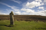 Weite, Dartmoor Nationalpark