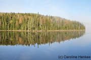 Doppelt schön, Algonquin Nationalpark