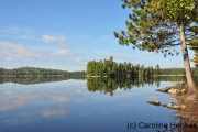 Ruhe, soweit das Auge reicht, Algonquin Nationalpark