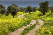 Yol, Besparmak Trail