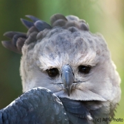 Ich seh Dir in die Augen, Zoologischer Garten, Wuppertal