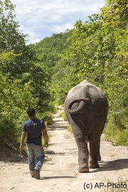 Spaziergang, Phnom Tamao Wildlife Reserve