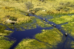 Wasserstraßen, Okawango-Delta
