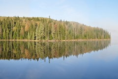 Doppelt schön, Algonquin Nationalpark