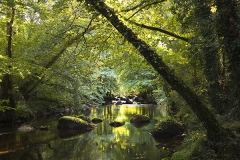 Stille, Dartmoor Nationalpark