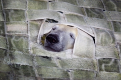 Durchblick, Zoologischer Garten, Wuppertal