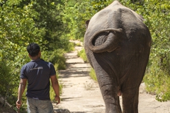 Spaziergang, Phnom Tamao Wildlife Reserve