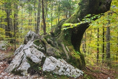 Schieflage, Triglav Nationalpark