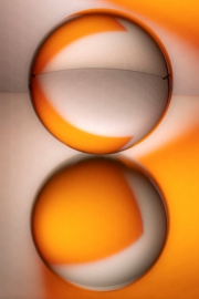 orange (c) Hans Peter Eckstein