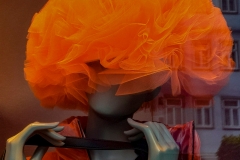 orange (c) Hans Peter Eckstein