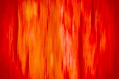 orange (c) Hans Peter Eckstein