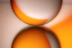 orange (c) Hans Peter Eckstein