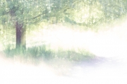 Wahner Heide (c) Andrea Hermann
