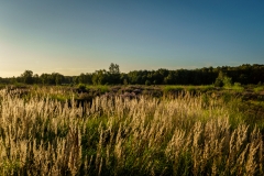 Wahner Heide (c) Andreas Otto