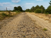 Heide im Wandergebiet Wurzelberg (c) Annette Ulrich