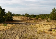 Heide im Wandergebiet Wurzelberg (c) Annette Ulrich