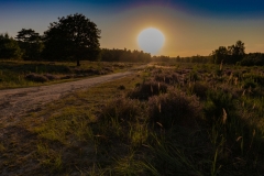 Wahner Heide (c) Astrid Padberg