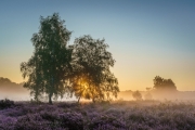 Wahner Heide (c) Andreas Otto
