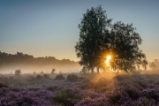 Wahner Heide (c) Andreas Otto