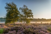 Wahner Heide (c) Andreas Otto