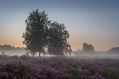 Wahner Heide (c) Andreas Otto