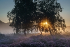 Wahner Heide (c) Andreas Otto