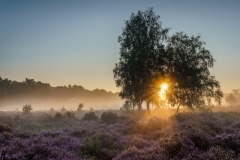 Wahner Heide (c) Andreas Otto
