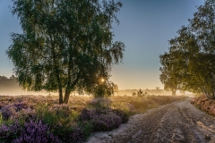 Wahner Heide (c) Andreas Otto