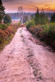 Wahner Heide (c) Astrid Padberg