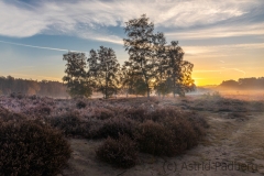 Wahner Heide (c) Astrid Padberg