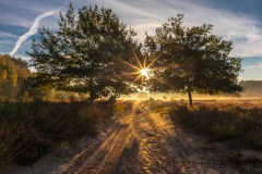 Wahner Heide (c) Astrid Padberg