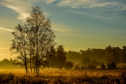 Wahner Heide (c) Detlef Buxmann