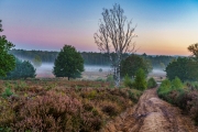 Wahner Heide (c) Gerd Baumann