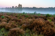 Wahner Heide (c) Gerd Baumann