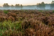 Wahner Heide (c) Gerd Baumann