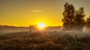 Wahner Heide (c) Gerd Baumann