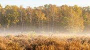Wahner Heide (c) Gerd Baumann