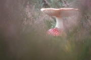Herbst (c) Andrea Hermann