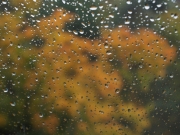 Herbst (c) Annette Ulrich