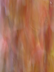 Herbst (c) Annette Ulrich