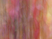 Herbst (c) Annette Ulrich