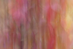 Herbst (c) Annette Ulrich