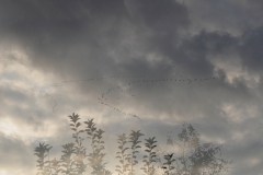 Herbst (c) Annette Ulrich