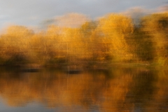 Herbst (c) Annette Ulrich