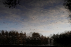 Herbst (c) Annette Ulrich