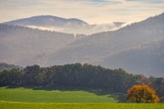 (c) Detlef Buxmann