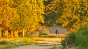 Herbst (c) Gerd Baumann