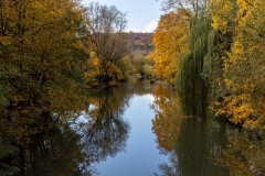 Herbst (c) Hans Peter Eckstein