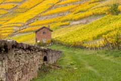 Herbst (c) Hans Peter Eckstein
